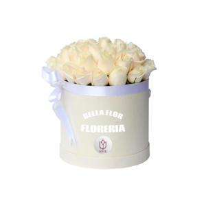 BOX FUNEBRE 24 ROSAS
