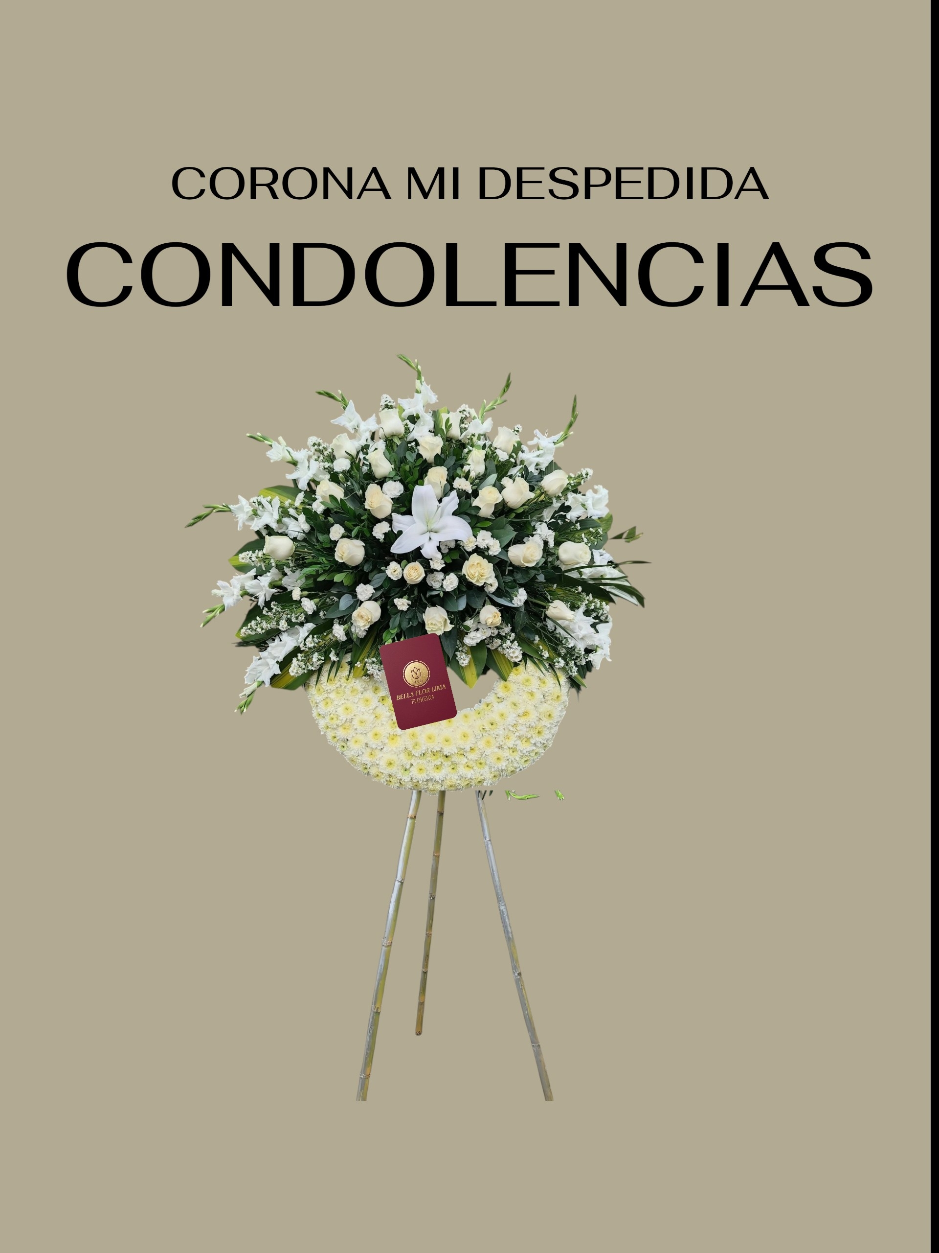 CORONA MI DESPEDIDA