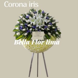 Corona iris