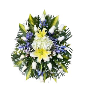 Lagrima blanca iris