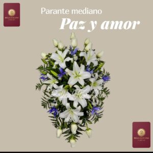 Parante paz y amor