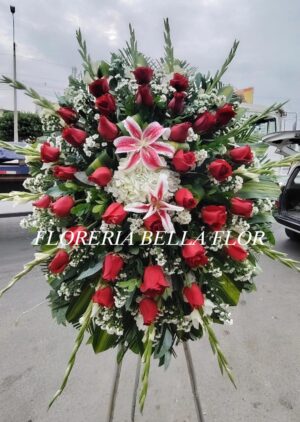 TRIPODE ROJO ESPECIAL