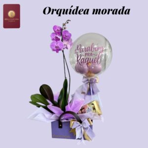 orquídea morada