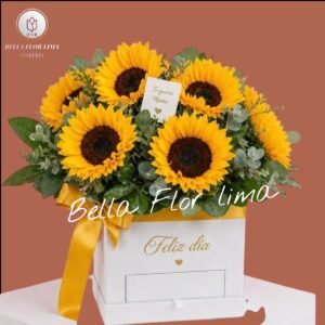 Box: "RADIANTE SOL"