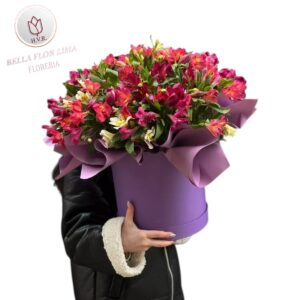 "Box elif"  arreglo floral de la marca Bella Flor Lima consiste en un exuberante ramo de astromelias en tonos fucsia y blanco.